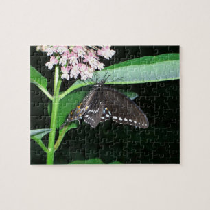 Night Butterfly Black Frack in Shenandoah Puzzle