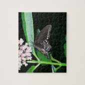Night Butterfly Black Frack in Shenandoah Puzzle (Vertikal)