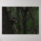 Night Eyes Poster (Vorne)