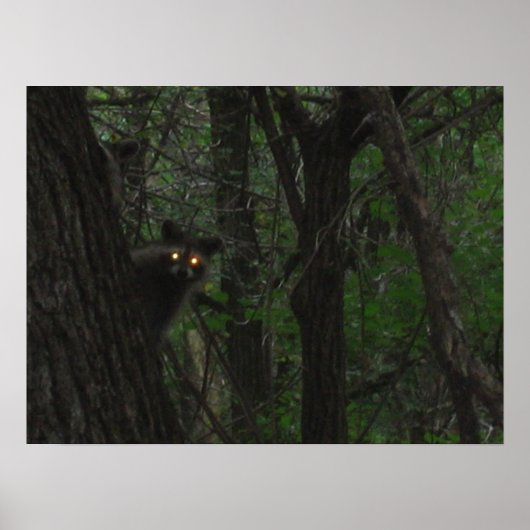 Night Eyes Poster (Vorne)