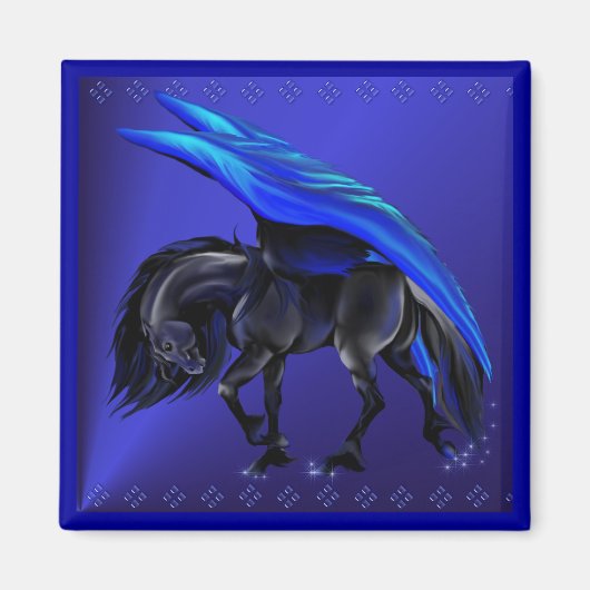 Night Flyer Magnet (Vorne)