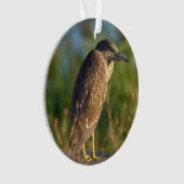 Night Heron Bird Foto Ornament (Vorderseite)