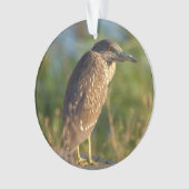 Night Heron Bird Foto Ornament (Vorderseite)