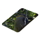 Night Heron Foto Magnet (Linke Seite)