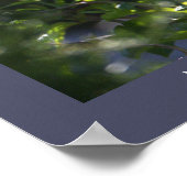 Night Heron Foto Poster (Ecke)