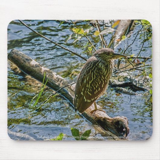 Night Heron jv Mousepad (Vorne)