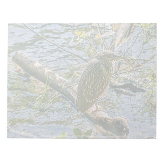 Night Heron jv Notizblock (Vorderseite)