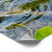 Night Heron jv Poster (Ecke)