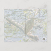 Night Heron jv Postkarte (Rückseite)