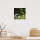 Night Heron Poster (Küche)