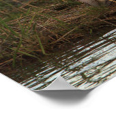 Night Heron Poster (Ecke)