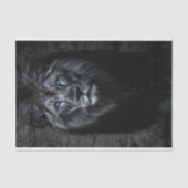 Night King Seidenpapier (Vorderseite)