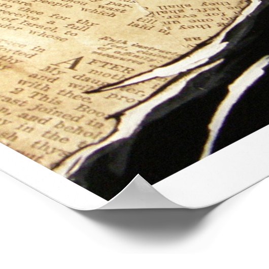 Night Raven Poster (Ecke)