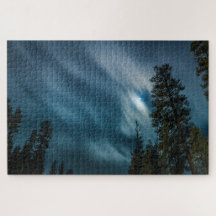 Night Sky & Forest in Moon Light