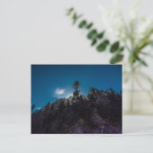 Night Sky oberhalb Forest am Clingman's Dome Postkarte (Stehend Vorderseite)
