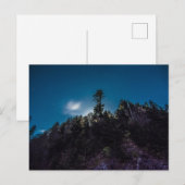 Night Sky oberhalb Forest am Clingman's Dome Postkarte (Vorne/Hinten)