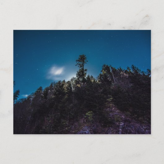 Night Sky oberhalb Forest am Clingman's Dome Postkarte (Vorderseite)