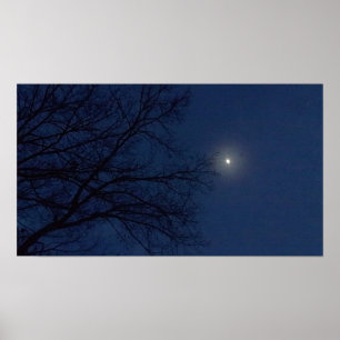 Night Sky Print Poster