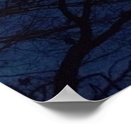 Night Sky Print Poster (Ecke)