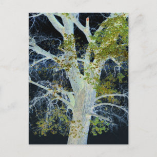 "Night Tree" Digitales Bild von Tree & Sky Postkarte