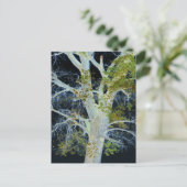 "Night Tree" Digitales Bild von Tree & Sky Postkarte (Stehend Vorderseite)