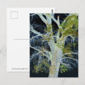 "Night Tree" Digitales Bild von Tree & Sky Postkarte (Vorne/Hinten)