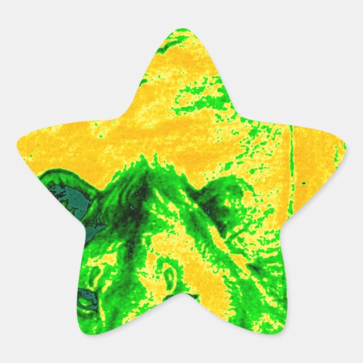 Night Vision Lion Art Fluorescent Print Stern-Aufkleber (Vorderseite)