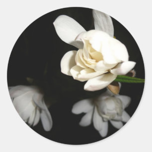 Night White Blume Jasmine Beauty Pure Bride Tulip Runder Aufkleber