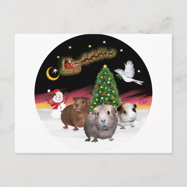 NightFlight - 3 Guinea Schweine Postkarte (Vorderseite)