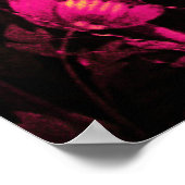NIGHTINGALE MIT ROSE, rosa Fuchsiengelb Poster (Ecke)