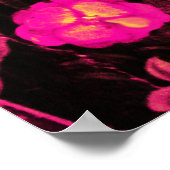 NIGHTINGALE MIT ROSE, rosa Fuchsiengelb Poster (Ecke)