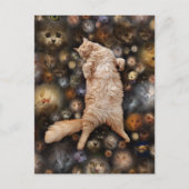 Nighty Kitty Cat, Postkarte (Vorderseite)