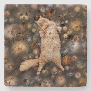 Nighty Kitty Cat, Steinuntersetzer