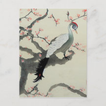Nihonga Japan Traditioneller Vogelkirschblossom