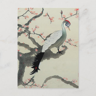 Nihonga Japan Traditioneller Vogelkirschblossom Postkarte