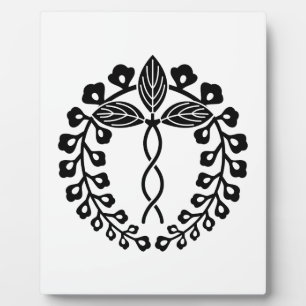 Nijo wisteria fotoplatte