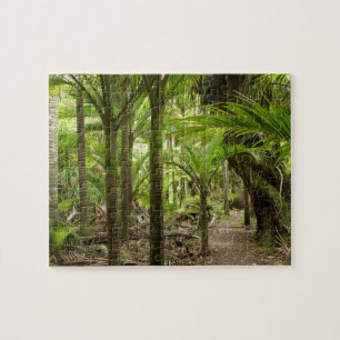 Nikau-Palmen, Heaphy Track, bei Karamea, Puzzle