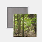 Nikau Palms, Heaphy Track, in der Nähe von Karamea Magnet (Vorderseite/Rückseite)