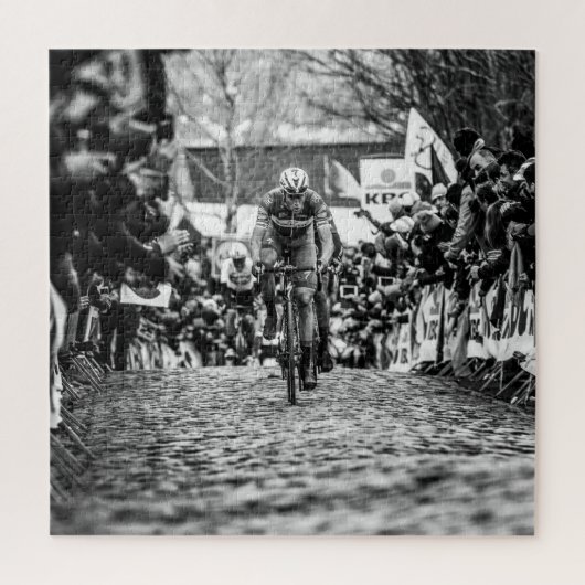 Niki auf Kwaremont - RVV2018 Puzzle (Vertikal)