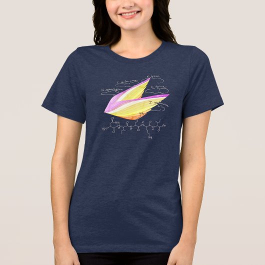 NIKKI-Peptid, AUC-Thema, benutzerdefinierter Text, Tri-Blend Shirt (Vorderseite)