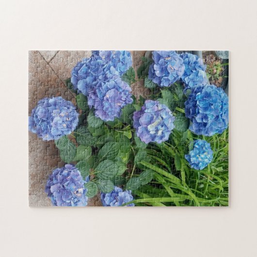 Nikko Blue Hydrangea Blume Foto Puzzle (Horizontal)