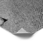 Nikola Tesla Portrait Poster (Ecke)