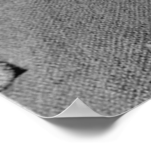 Nikola Tesla Portrait Poster (Ecke)