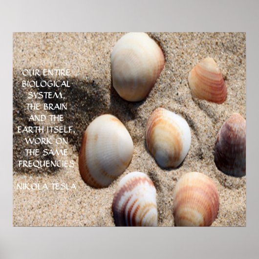 NIKOLA TESLA QUOTE - GLEICHE HÄUFIGKEITEN - POSTER (Vorne)