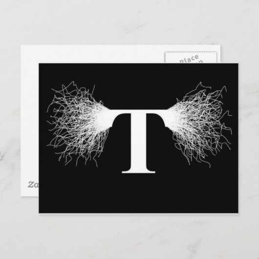 Nikola Tesla - Tesla Coil - Blitzlicht Postkarte (Vorne/Hinten)