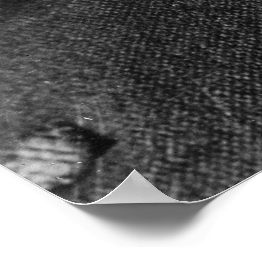 Nikola Tesla Zitat Poster (Ecke)