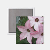 Nikotania-Blume Magnet (Vorderseite/Rückseite)