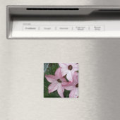 Nikotania-Blume Magnet (In Situ (Geschirrspüler))
