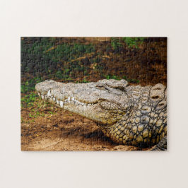 Nil Crocodile, Jigsaw Puzzle