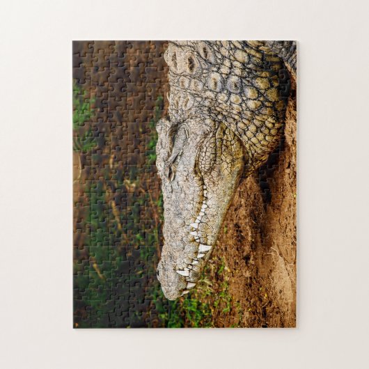 Nil Crocodile, Jigsaw Puzzle (Vertikal)